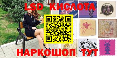 мет Кингисепп
