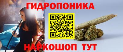 мет Кингисепп