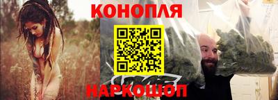 мет Кингисепп