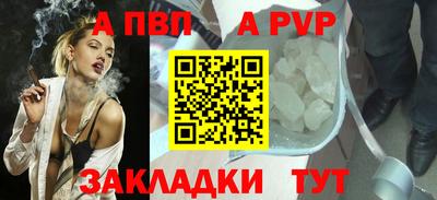 мет Кингисепп
