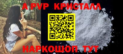 мет Кингисепп
